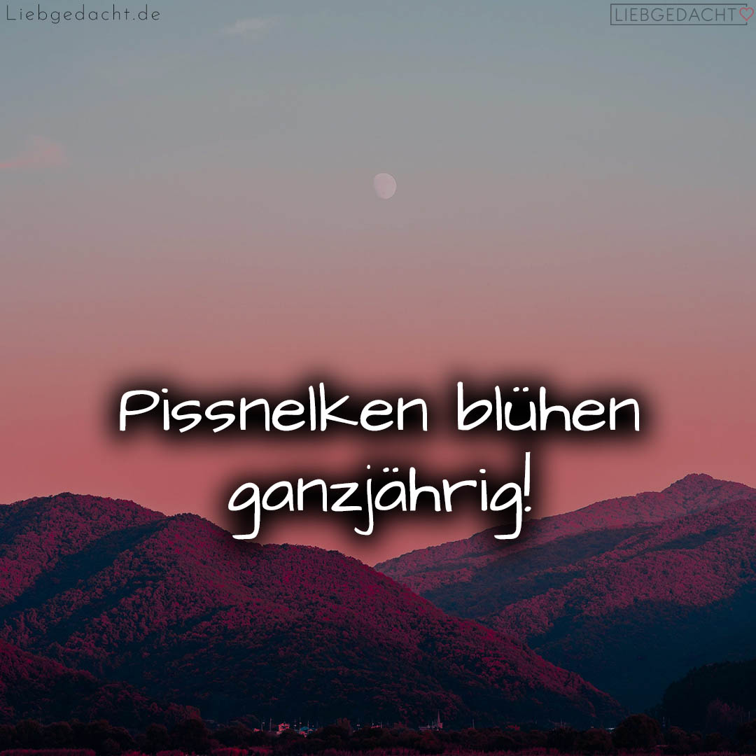 1716378129664dda11d7f2d