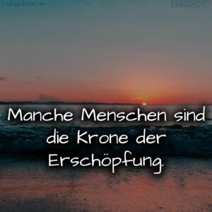 1716378145664dda2183954