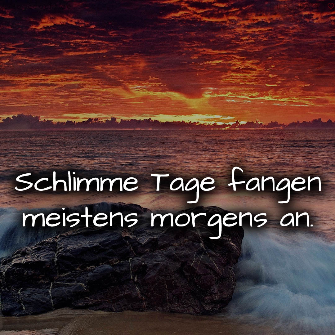 1716378151664dda271e038