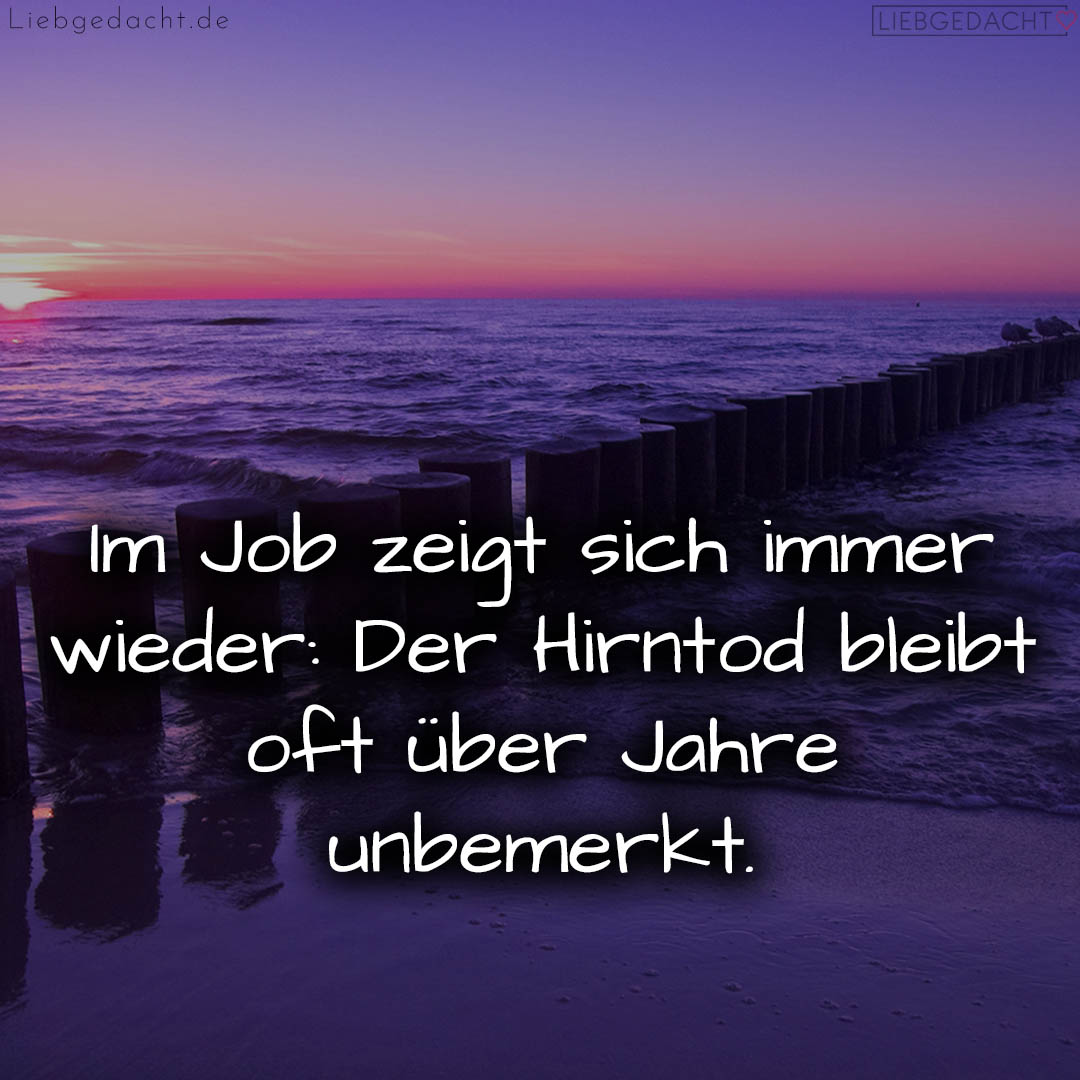 1716378153664dda29c25a2