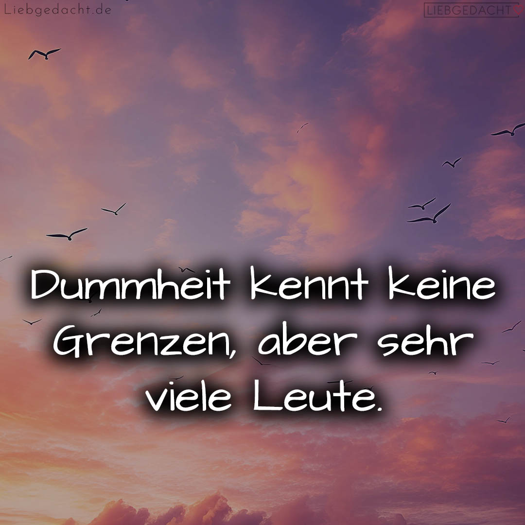 1716378180664dda4437d15