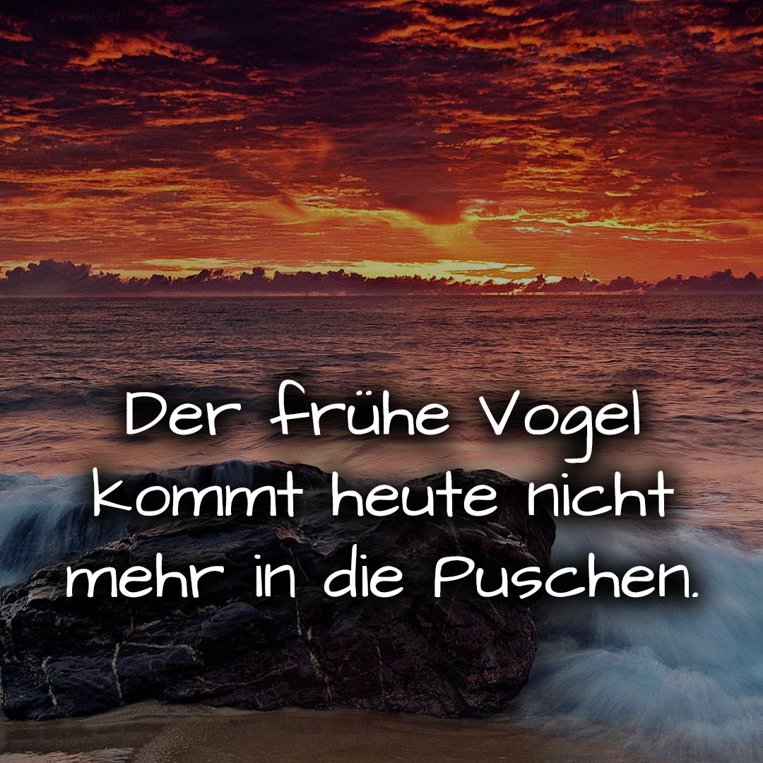 1716378193664dda51e577e