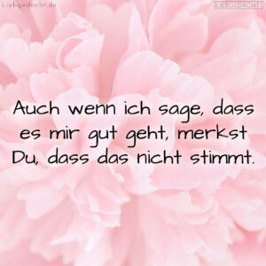 1716378322664ddad2530b0