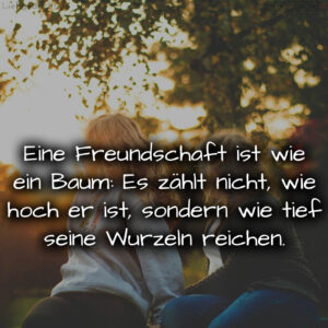 1716378364664ddafceee7a