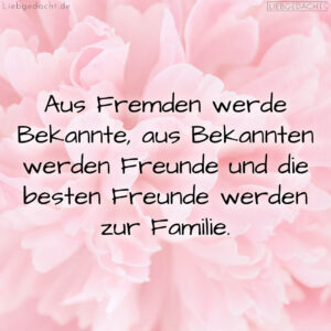 1716378369664ddb01f2e87