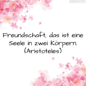 1716378374664ddb06e6d37