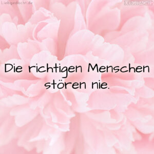 1716378413664ddb2d6024e