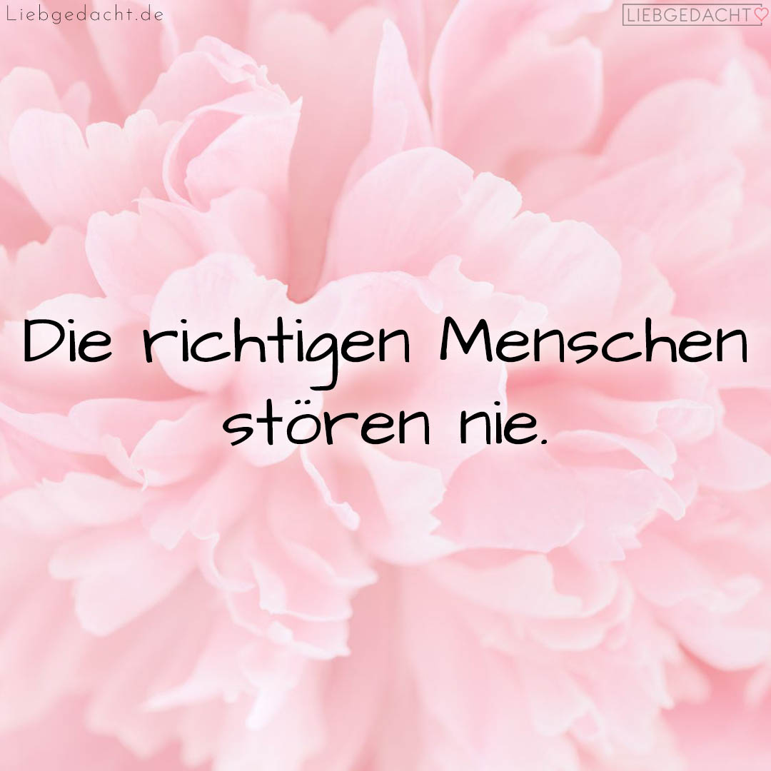 1716378413664ddb2d6024e