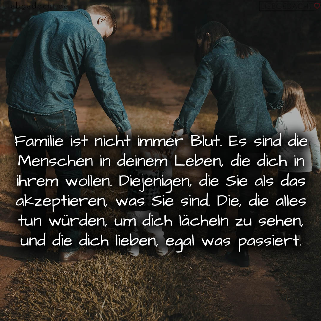 1716378498664ddb821ff08