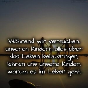 1716378576664ddbd0ec9e1