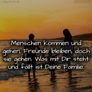 1716378599664ddbe77a2f8