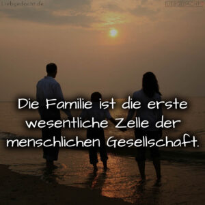 1716378654664ddc1e0f3d2