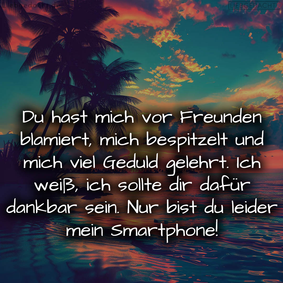 1716379580664ddfbc5d964