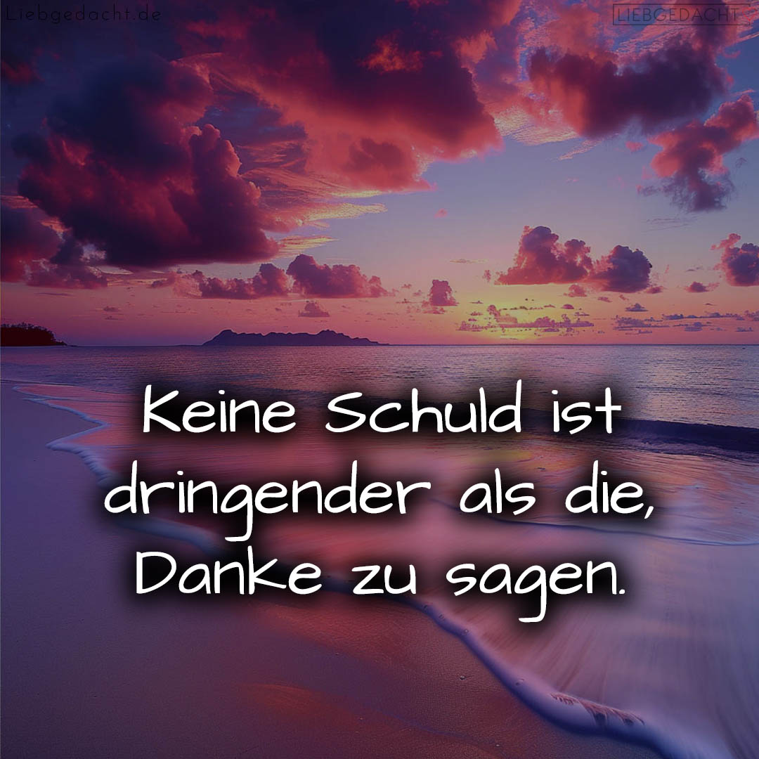 1716379600664ddfd002399