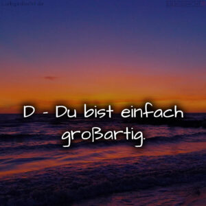 1716379602664ddfd258fc5