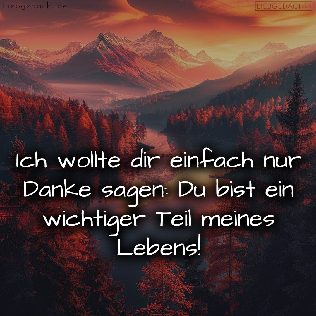 1716379686664de0269eebd