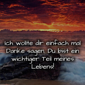 1716379700664de0341d7b1