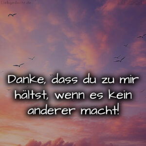 1716379741664de05d45177