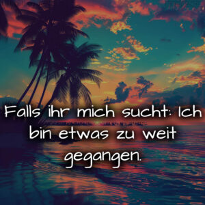 1716380082664de1b2c8716