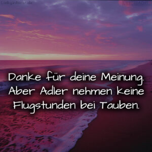 1716380113664de1d1c9d94