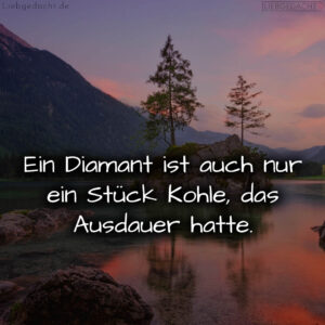 1716380162664de202da337