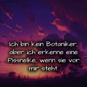 1716380184664de218ae5a1