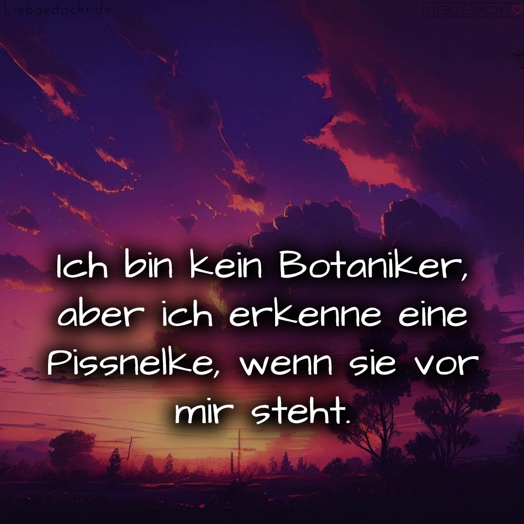 1716380184664de218ae5a1