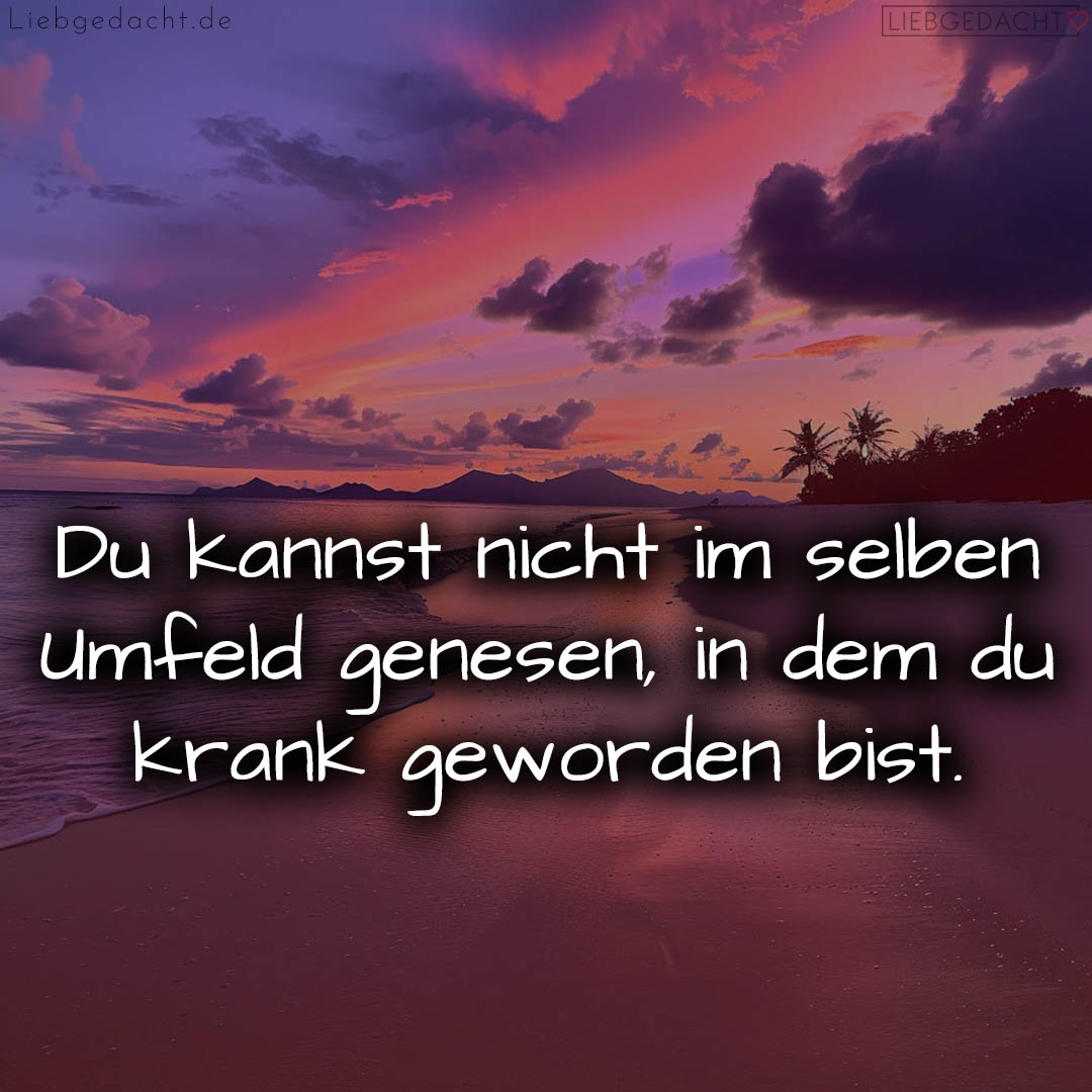 1716380213664de2354b0fc