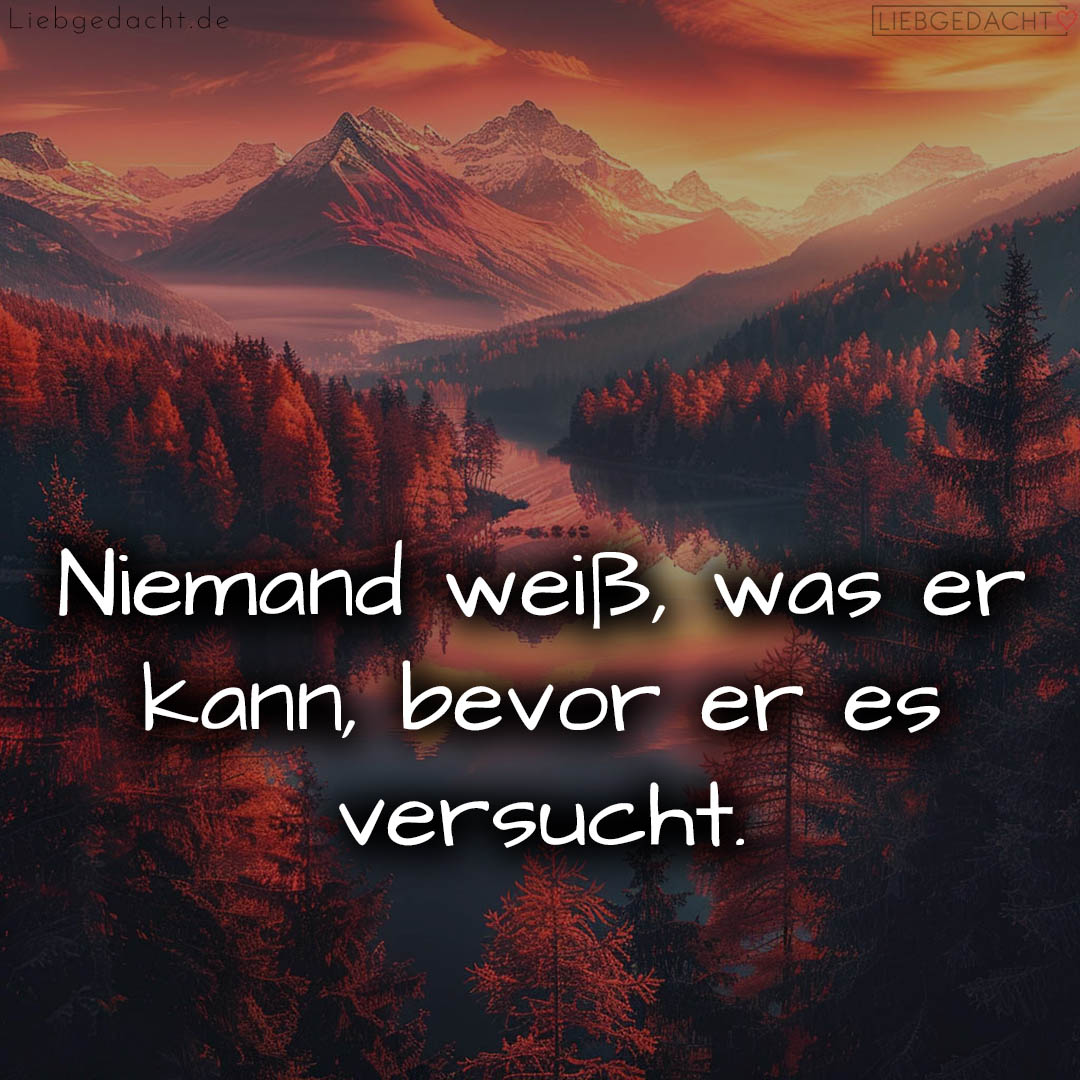 1716380221664de23d9a63d