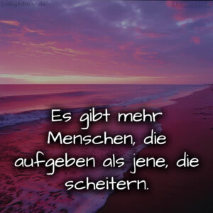 1716380238664de24e56eac