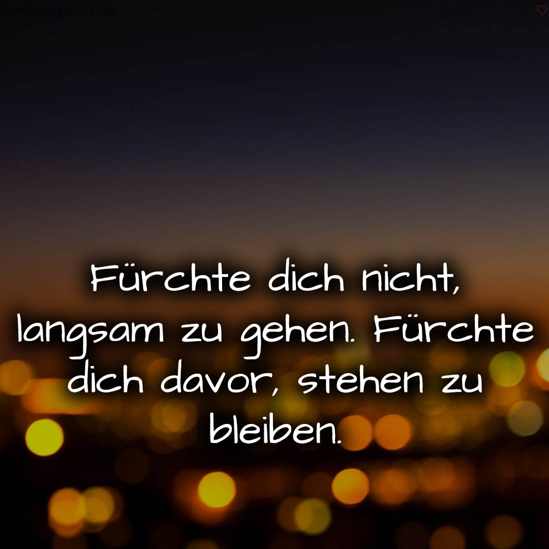 1716380242664de25231e82