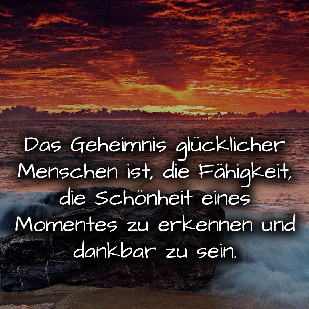 1716380317664de29d781f2