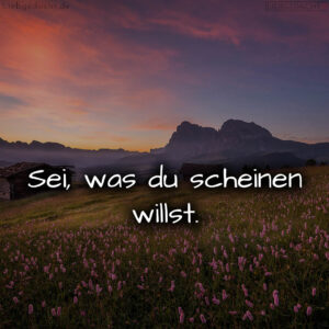 1716380522664de36a7c14a