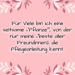 1716380557664de38d5521a