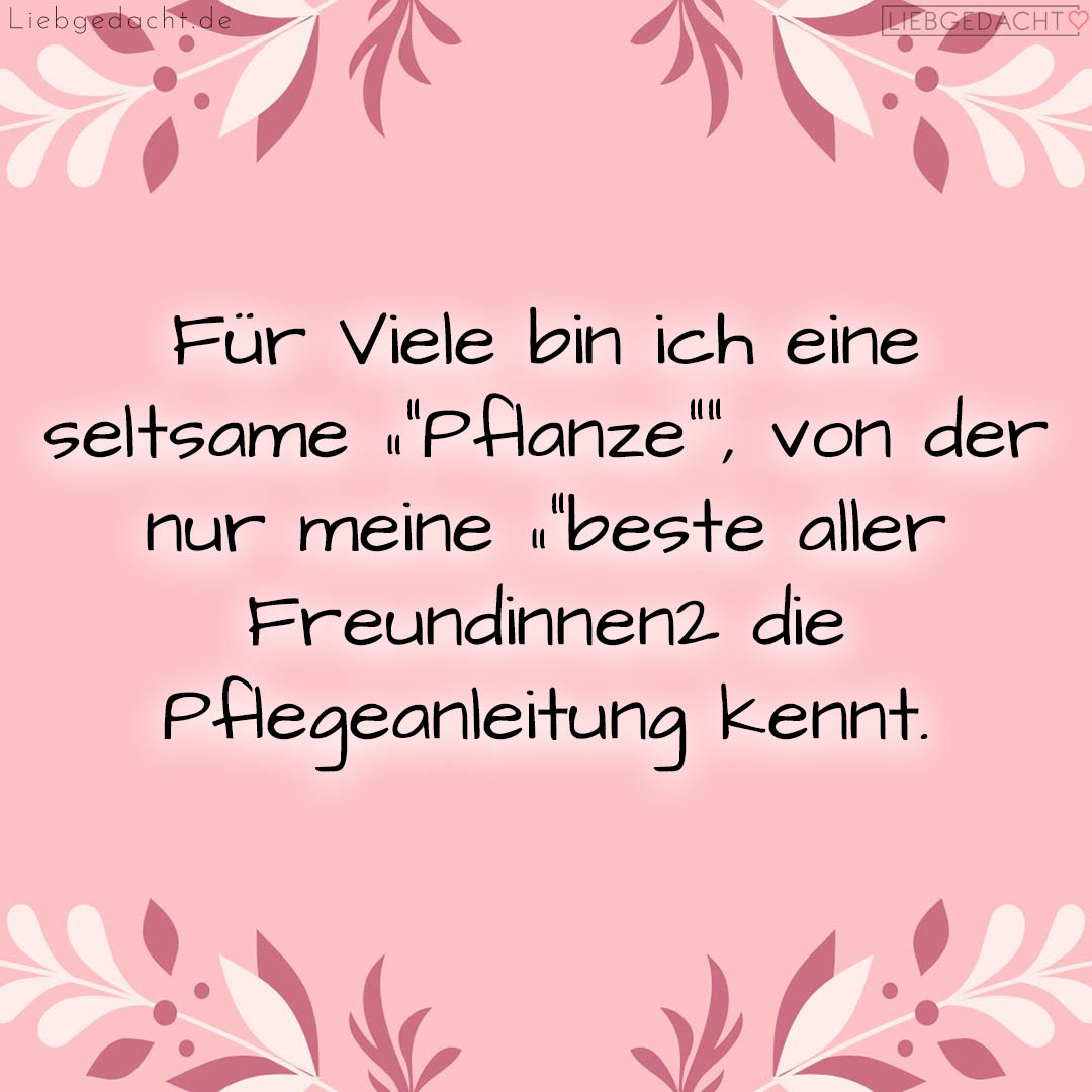 1716380557664de38d5521a