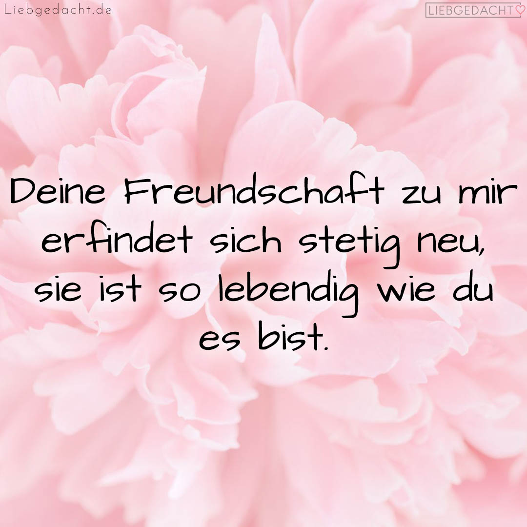 1716380624664de3d00e5f3