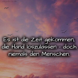 1716380775664de4679bad9